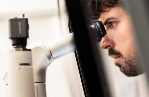 Image of a lab director looking through a microscope doing fertility tests