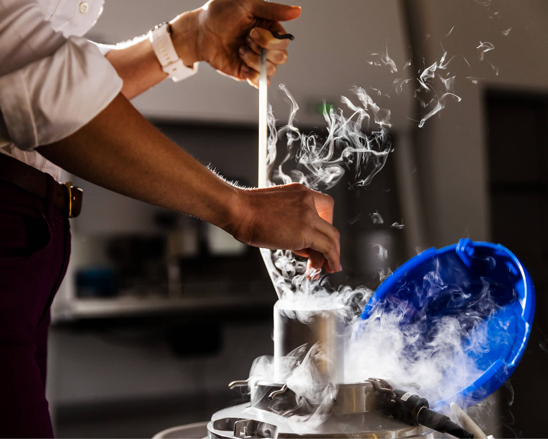 Frozen Embryo Transfer & Timelines The Evewell Clinic London The