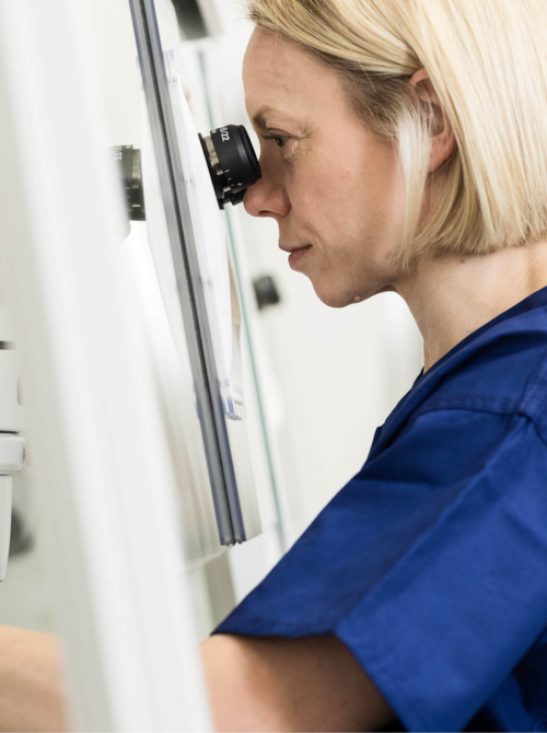 Embryologist in the fertility lab looking at fertility samples through a microscope