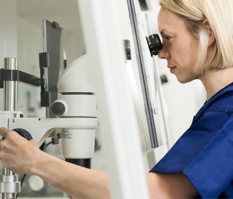 Embryologist in the fertility lab looking at fertility samples through a microscope