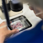 Embryologist in the lab looking at fertility samples through a microscope