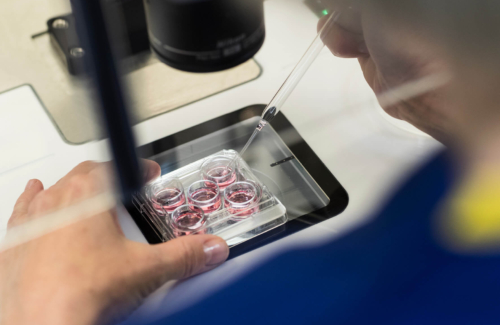 Embryologist in the lab looking at fertility samples through a microscope