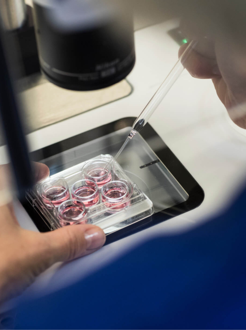 Embryologist in the lab looking at fertility samples through a microscope