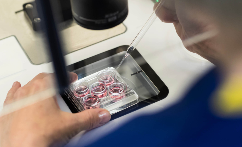 Embryologist in the lab looking at fertility samples through a microscope