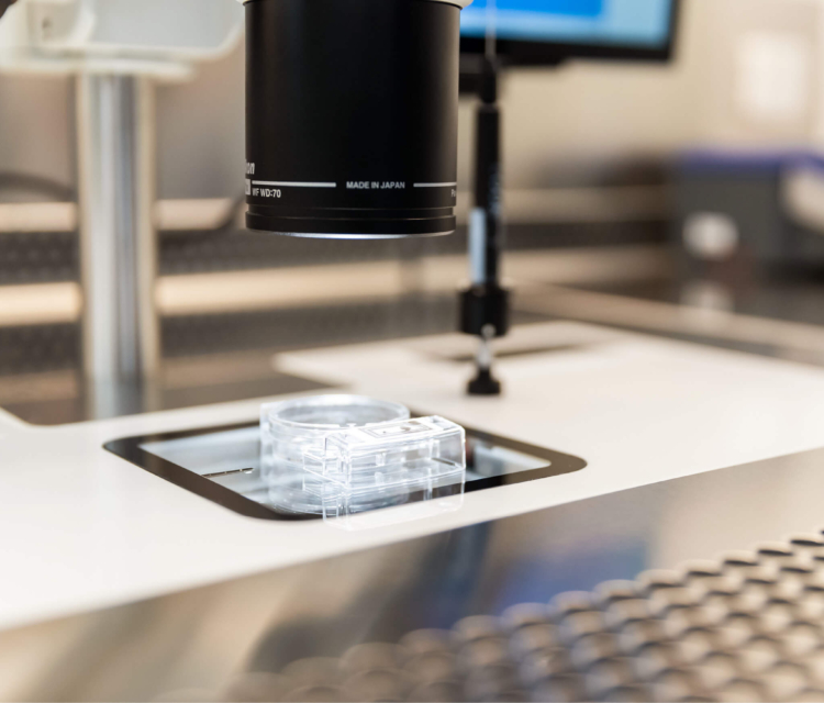 A microscope and testing equipment shown in the Evewell laboratory for IUI treatment